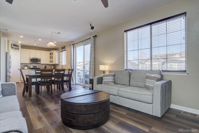 living room with sink and dark hardwood / wood-style floors