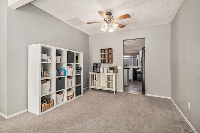 interior space featuring carpet, ceiling fan, and a textured ceiling