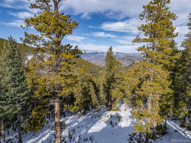 property view of mountains