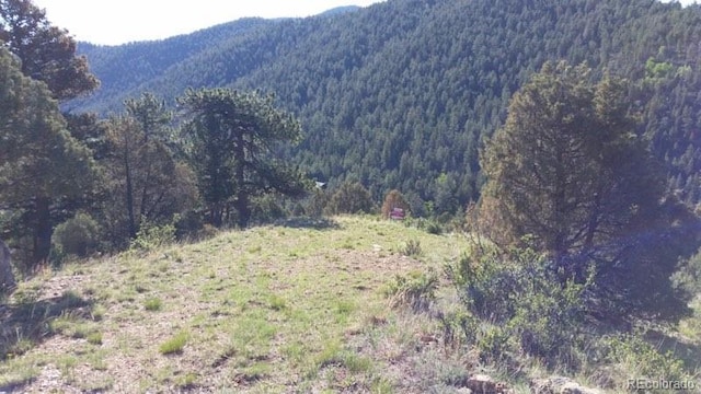 Laughing Valley Ranch Rd, Idaho Springs CO, 80452 land for sale