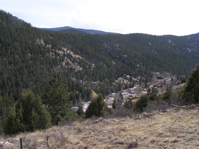 Listing photo 3 for Laughing Valley Ranch Rd, Idaho Springs CO 80452