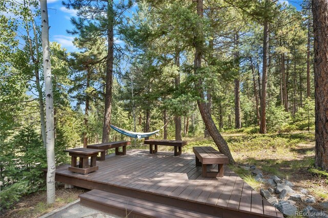26196 Rea Ave, Conifer, CO 80433 - photo 35