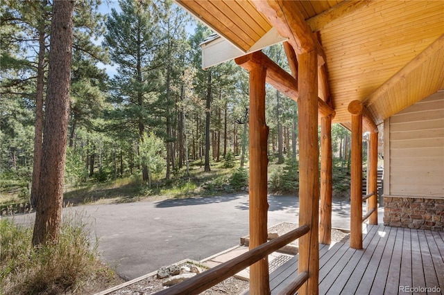 26196 Rea Ave, Conifer, CO 80433 - photo 38