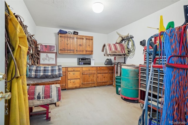 spacious closet featuring light carpet