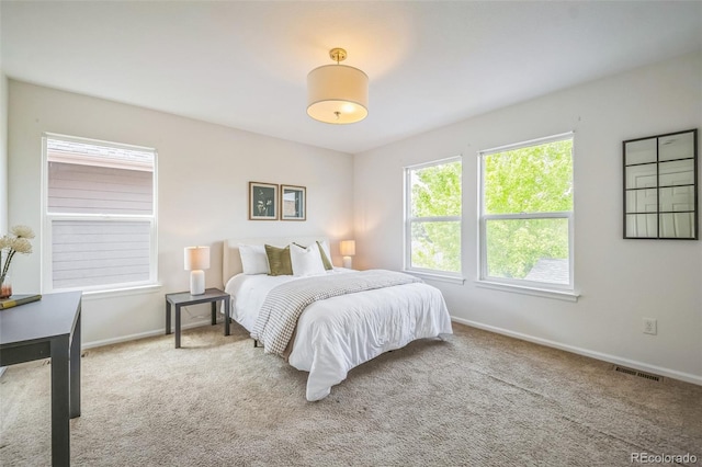 2983 Fulton St, Denver, CO 80238 - photo 15