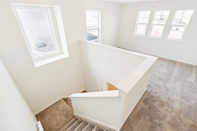 13402 E 110th Way, Commerce City, CO 80022 - staircase featuring carpet and baseboards