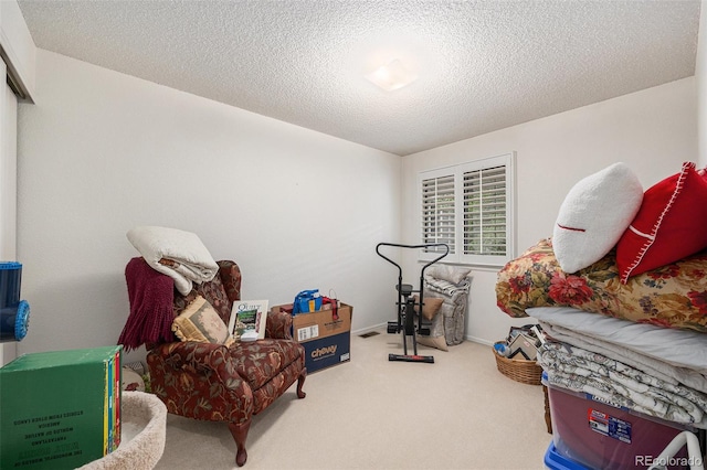 60 S Moline St, Aurora, CO 80012 - sitting room with carpet flooring and a textured ceiling