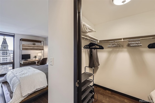 spacious closet with dark wood-type flooring