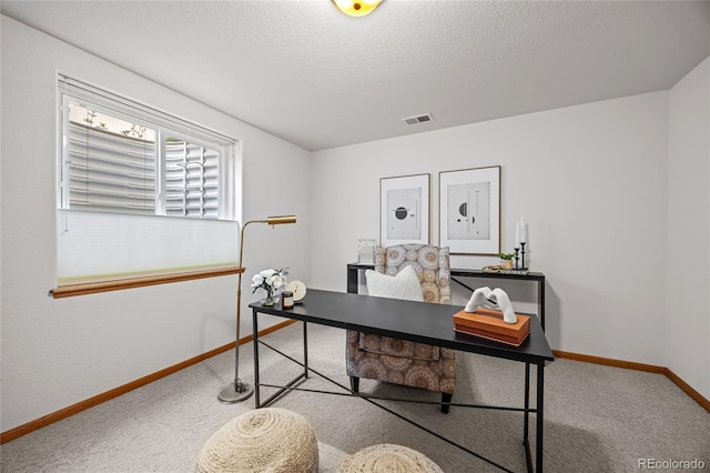 2226 Lily Dr, Loveland, CO 80537 - office space with baseboards, carpet, and a textured ceiling