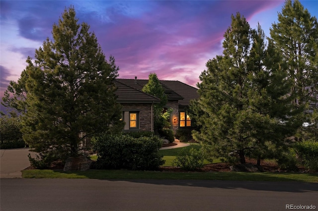 6303 Ellingwood Point Pl, Castle Rock, CO 80108 - view of property hidden behind natural elements featuring stone siding and a tiled roof