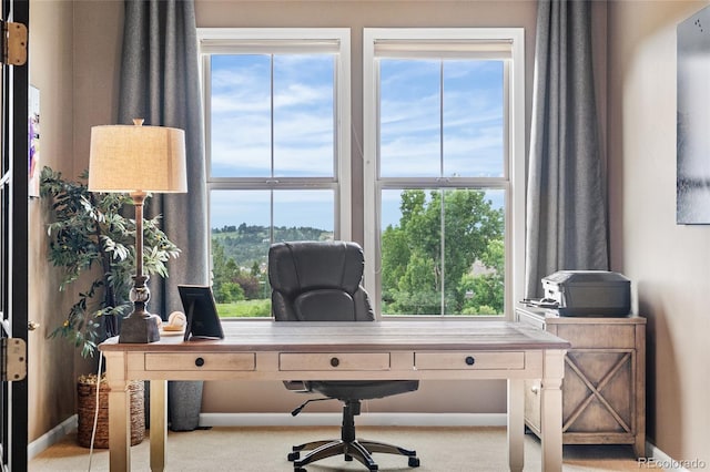 6303 Ellingwood Point Pl, Castle Rock, CO 80108 - office space featuring healthy amount of natural light and carpet flooring