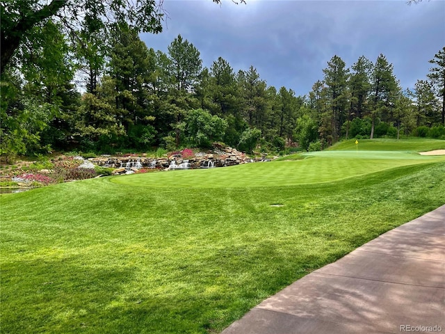 6303 Ellingwood Point Pl, Castle Rock, CO 80108 - surrounding community featuring a lawn and view of golf course