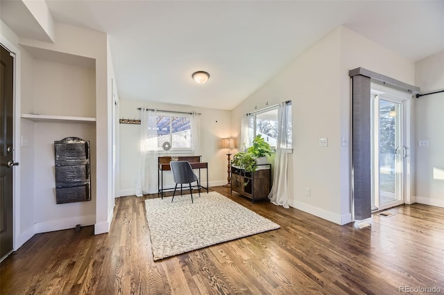 interior space with vaulted ceiling and dark wood-type flooring