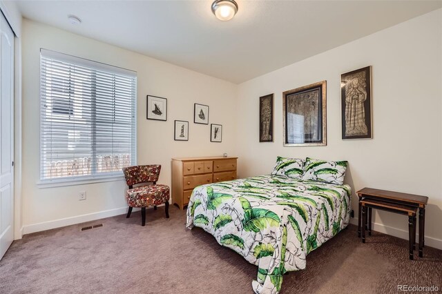 14521 Vancouver Pl, Parker, CO 80134 - bedroom featuring visible vents, baseboards, and carpet floors