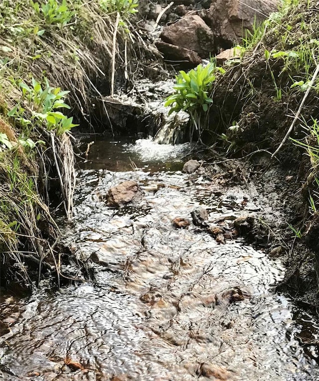 view of local wilderness