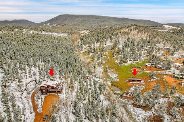 snowy aerial view with a mountain view