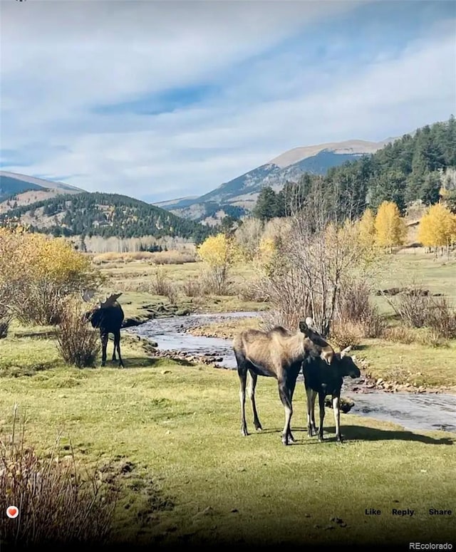 637 Rock Rd, Bailey, CO 80421 - surrounding community with a mountain view and a yard