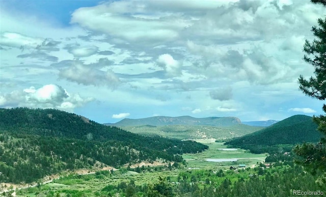 637 Rock Rd, Bailey, CO 80421 - view of mountain background