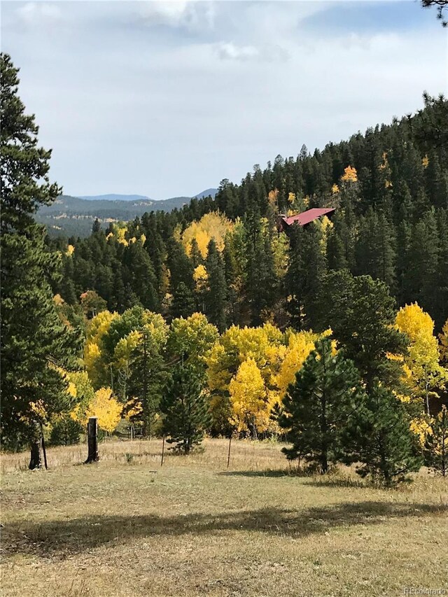 637 Rock Rd, Bailey, CO 80421 - mountain view featuring a heavily wooded area