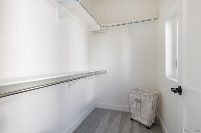 spacious closet with carpet