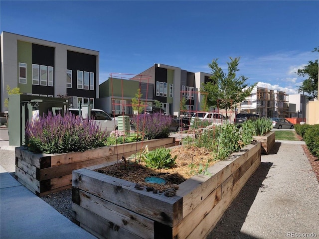 view of community with a garden