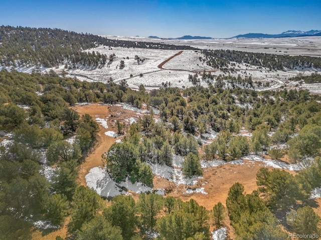 504 Ute Rd, Westcliffe CO, 81252 land for sale