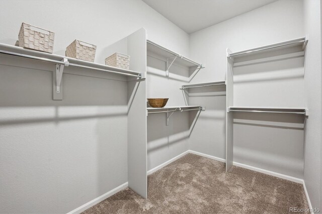 5142 N Quemoy Ct, Aurora, CO 80019 - walk in closet with carpet floors