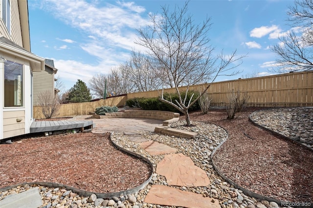 view of yard with a patio area and a fenced backyard