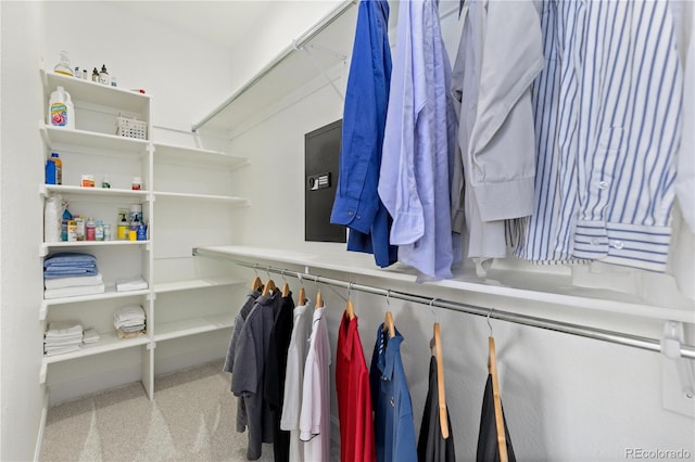 2490 Sagebrush St, Parker, CO 80138 - spacious closet with carpet floors