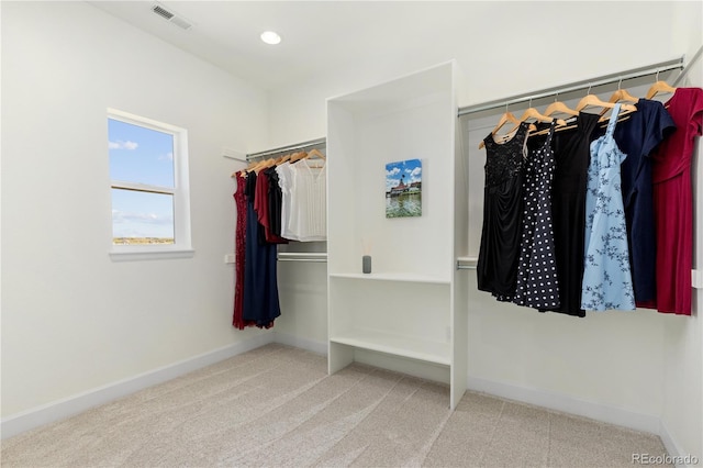 2490 Sagebrush St, Parker, CO 80138 - spacious closet featuring carpet