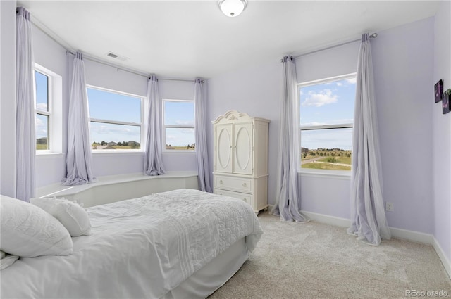 2490 Sagebrush St, Parker, CO 80138 - bedroom featuring light colored carpet and baseboards