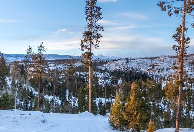 property view of mountains