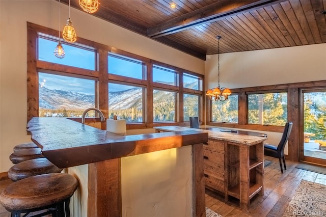 interior space featuring hardwood / wood-style floors, a mountain view, beam ceiling, and plenty of natural light