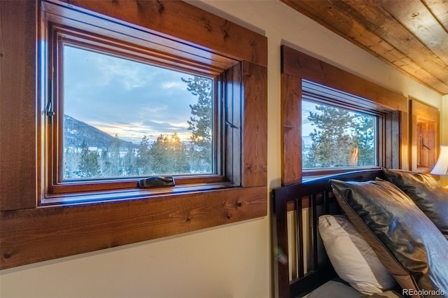 room details with a mountain view