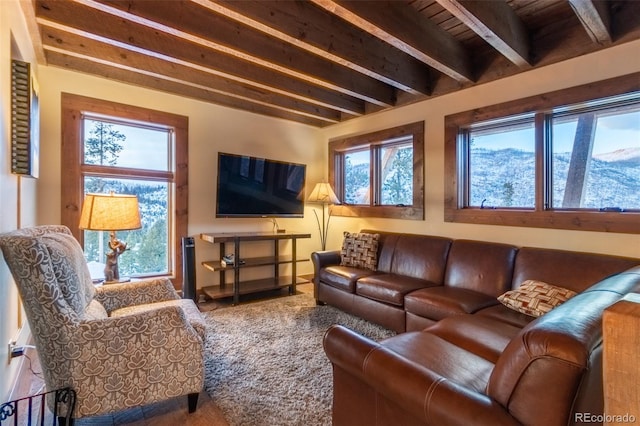 living room with beam ceiling and wooden ceiling