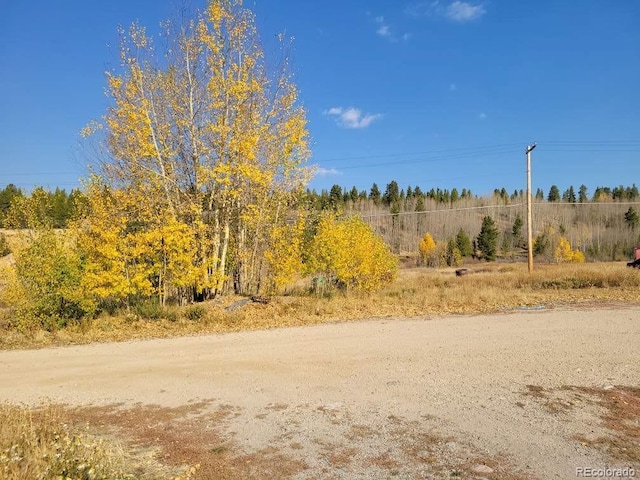 1692 US Highway 24, Leadville, CO 80461 - view of dirt / gravel road