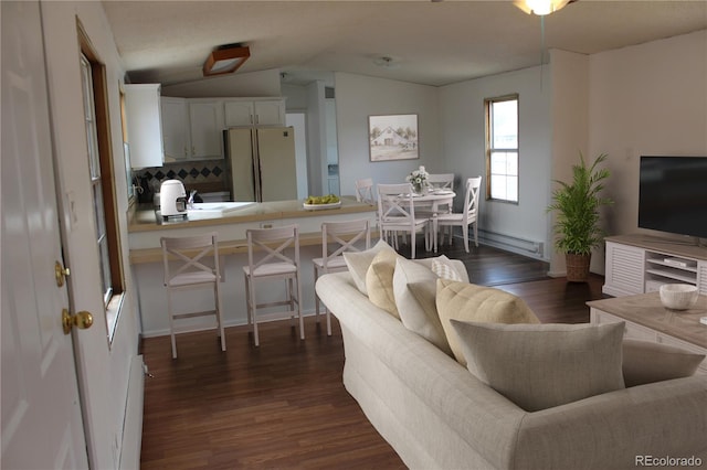 1692 US Highway 24, Leadville, CO 80461 - living area featuring lofted ceiling, dark wood-type flooring, a baseboard radiator, and baseboards