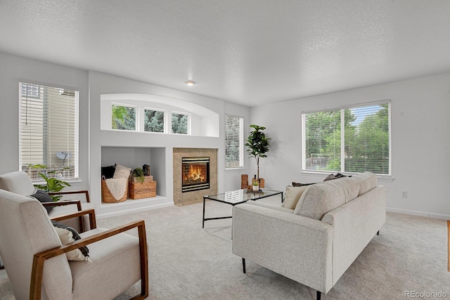 722 Ridge Creek Ct, Longmont, CO 80504 - photo 18