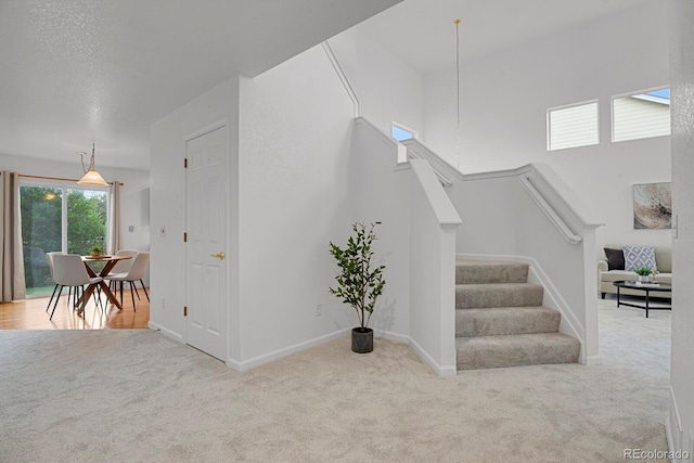 722 Ridge Creek Ct, Longmont, CO 80504 - photo 26