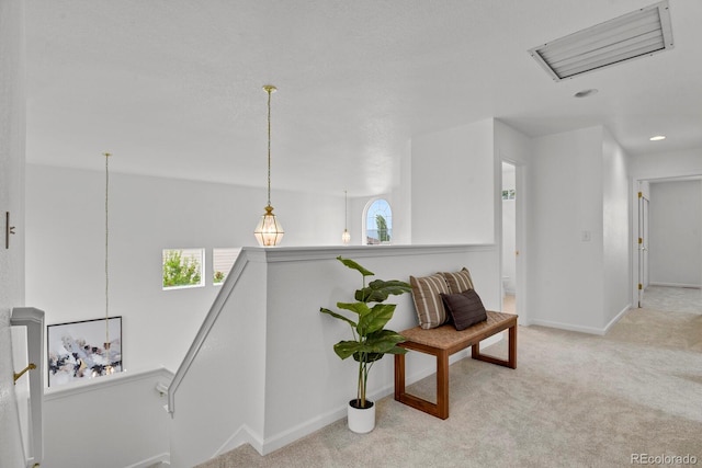 722 Ridge Creek Ct, Longmont, CO 80504 - photo 28