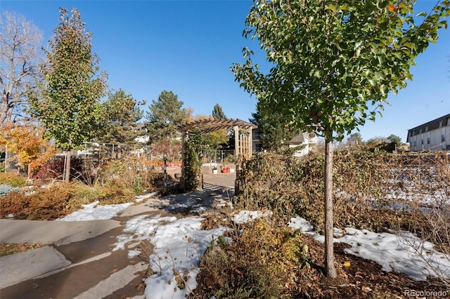 yard covered in snow featuring a pergola