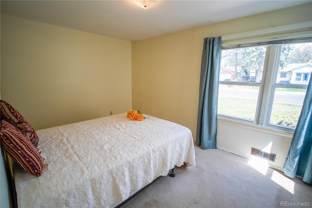 1313 Pioneer Rd, Colorado Springs, CO 80907 - photo 8