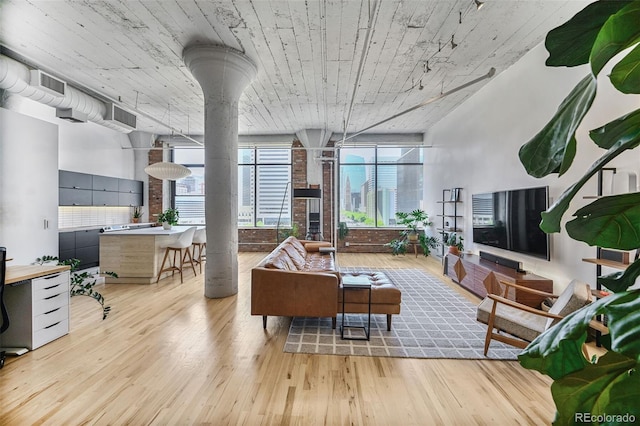 2000 Arapahoe St Unit 503, Denver, CO 80205 - living room featuring light wood-type flooring