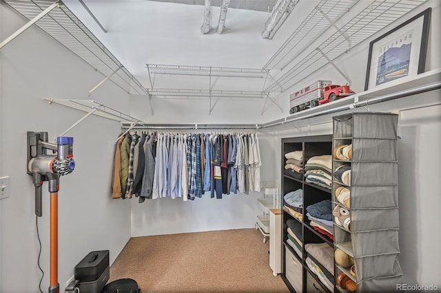 2000 Arapahoe St Unit 503, Denver, CO 80205 - walk in closet with carpet floors