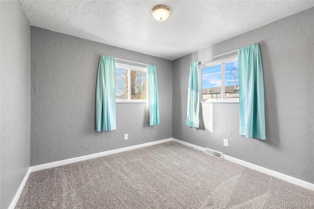 spare room featuring plenty of natural light, carpet floors, and a textured ceiling