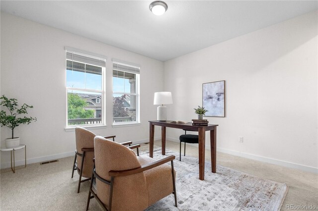 8814 S Winnipeg Ct, Aurora, CO 80016 - office space featuring light carpet and baseboards
