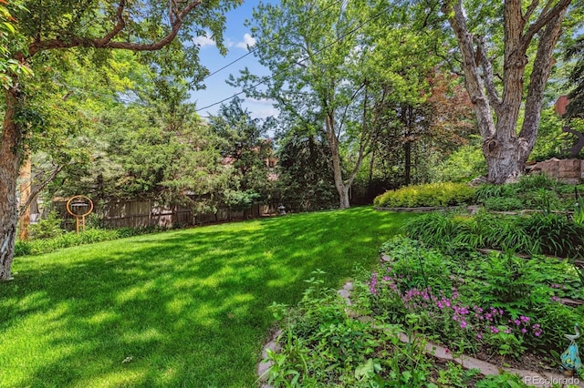 9113 E Evans Way, Denver, CO 80231 - view of yard