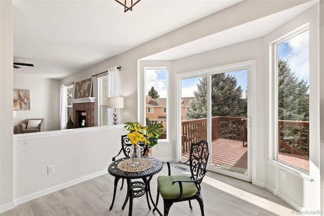 dining room with ceiling fan and light hardwood / wood-style floors