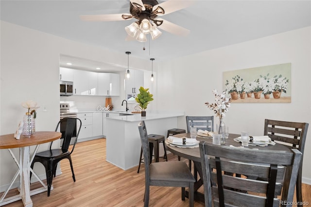 dining space with sink, light hardwood / wood-style flooring, and ceiling fan