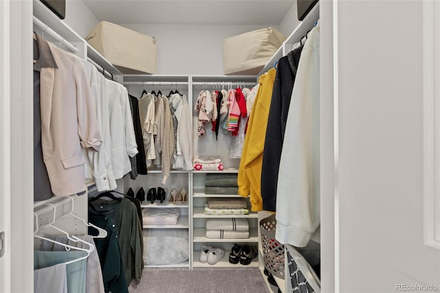 spacious closet with carpet